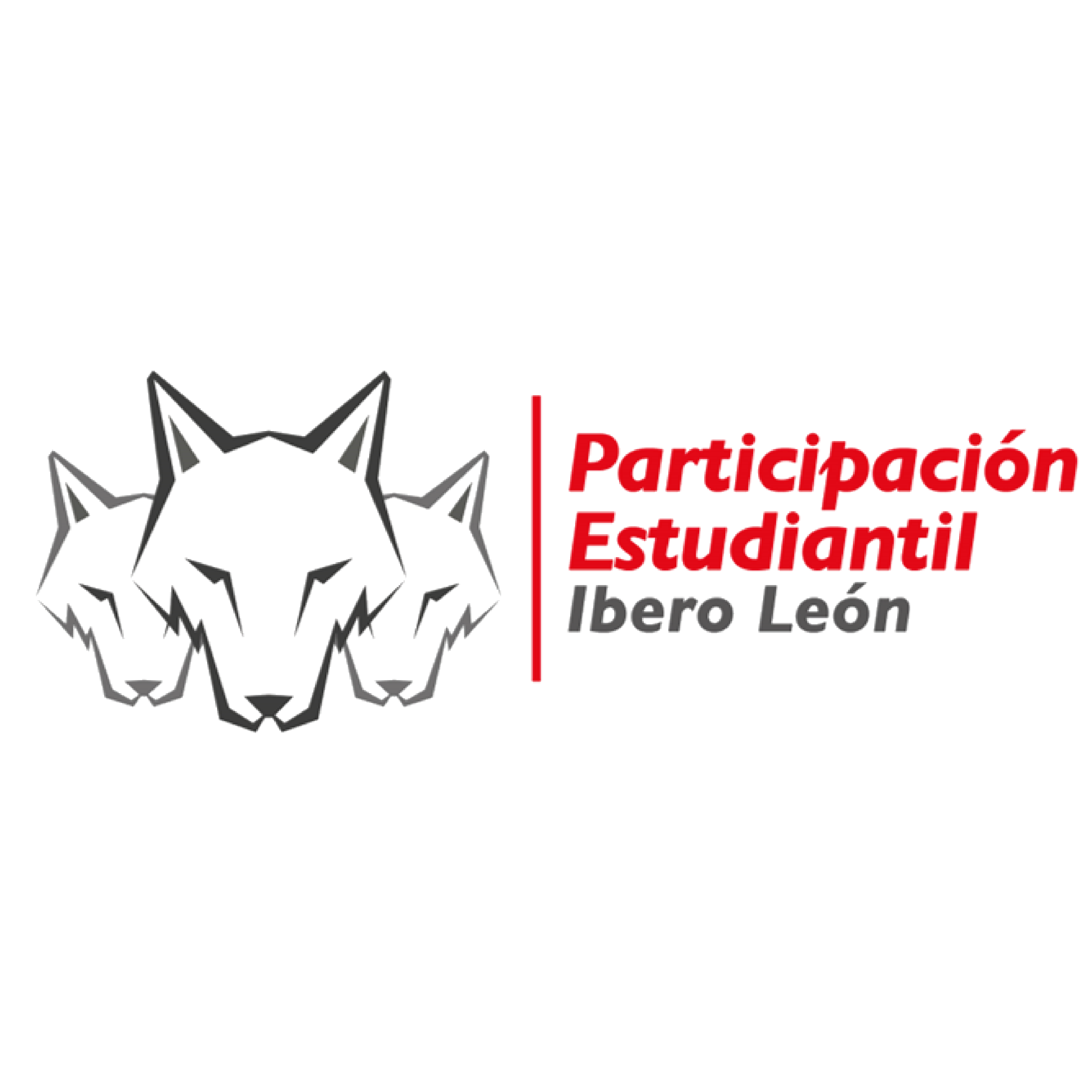 Programa de Participación Estudiantil